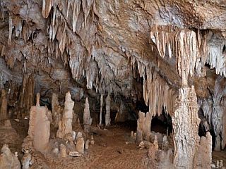 http://geografia_liceum.republika.pl/egzo/stalagmit.jpg